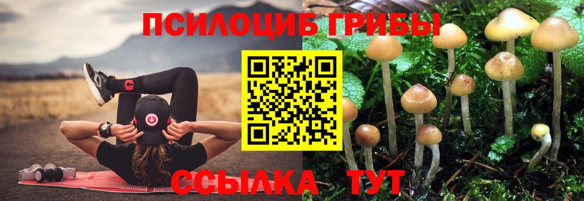 Псилоцибиновые грибы ЛСД  Вход с VPN  Скопин 