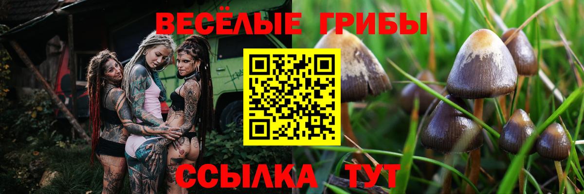 Псилоцибиновые грибы мухоморы Скопин